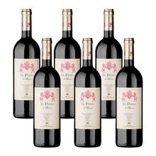 Laden Sie das Bild in den Galerie-Viewer, Biserno Il Pino
