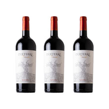 Laden Sie das Bild in den Galerie-Viewer, Dueterre Rosso d´Italia Cuveé
