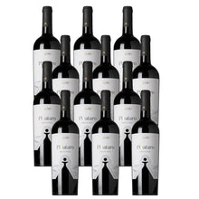 Laden Sie das Bild in den Galerie-Viewer, Pignataro Nero di Troia Tagaro
