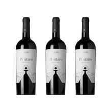 Laden Sie das Bild in den Galerie-Viewer, Pignataro Nero di Troia Tagaro
