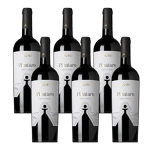 Laden Sie das Bild in den Galerie-Viewer, Pignataro Nero di Troia Tagaro
