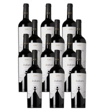 Laden Sie das Bild in den Galerie-Viewer, Pignataro Primitivo Tagaro
