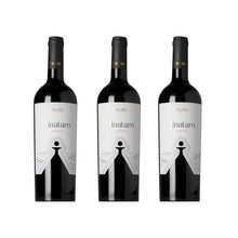 Laden Sie das Bild in den Galerie-Viewer, Pignataro Primitivo Tagaro
