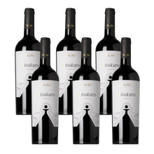 Laden Sie das Bild in den Galerie-Viewer, Pignataro Primitivo Tagaro
