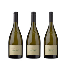 Laden Sie das Bild in den Galerie-Viewer, Terlan Winkl Sauvignon Blanc DOC
