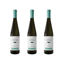 Laden Sie das Bild in den Galerie-Viewer, Vitese Lucido
